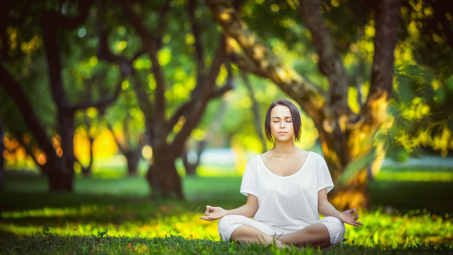世界篮球邀请赛：后卫组织力决定比赛节奏，世界篮球后卫排名